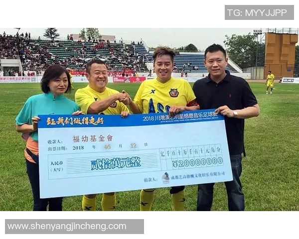 足球明星在慈善事业中的捐款情况及其影响力分析