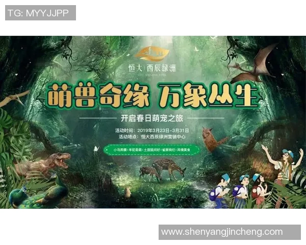 香港足球明星队成都精彩赛事门票抢购指南与活动详情分享