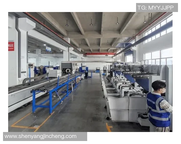 宁波健身器材批发市场分析与行业发展趋势探讨